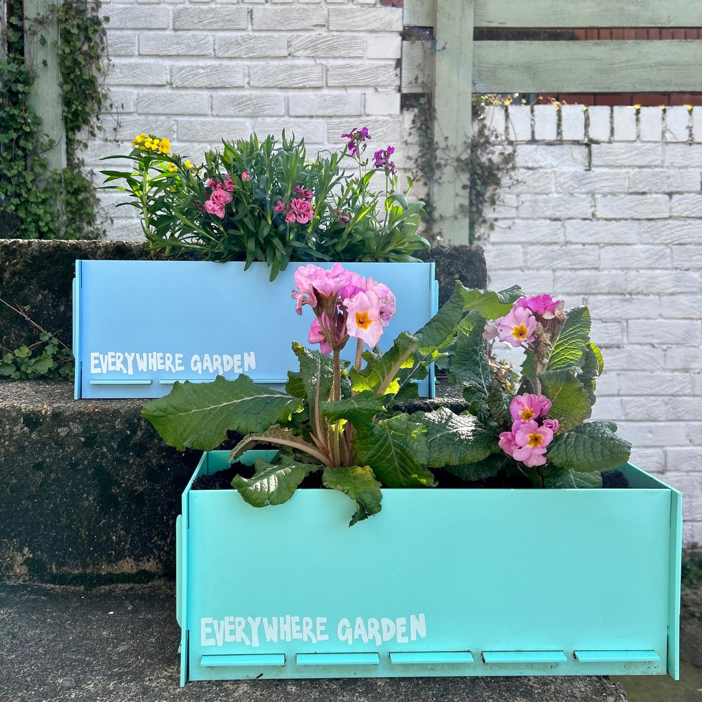 Grow-your-flowers starter box