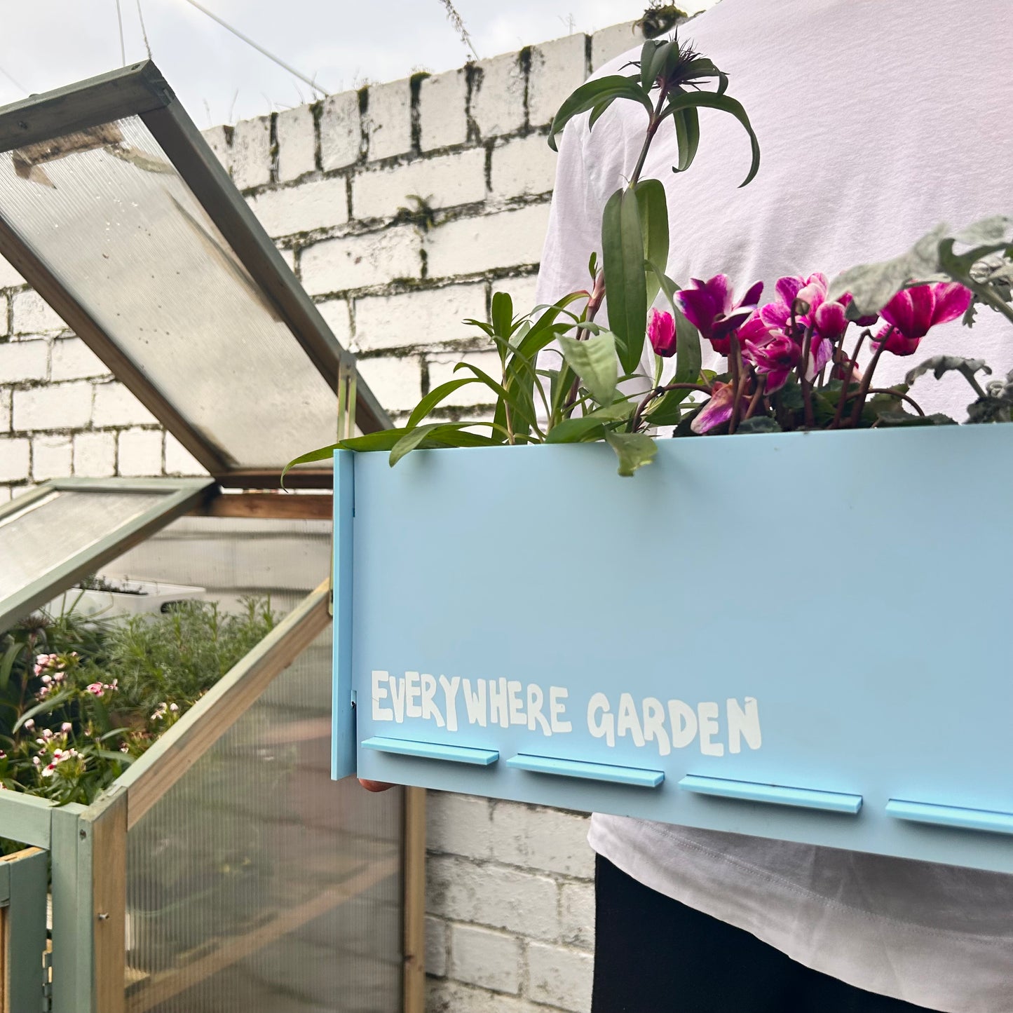 Grow-your-flowers starter box